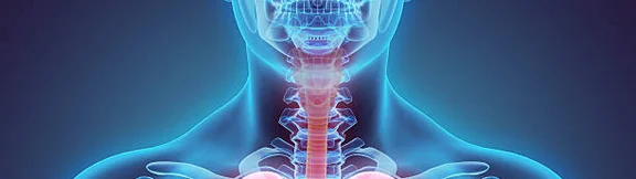 Dummybild 1 Alternativtext