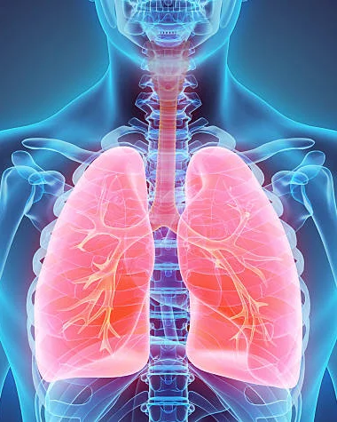 Dummybild 1 Alternativtext