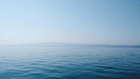 Alternativtext des Bildes