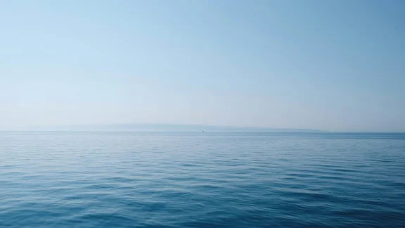 Alternativtext des Bildes