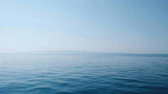 Alternativtext des Bildes