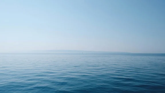 Alternativtext des Bildes