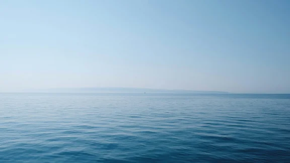 Alternativtext des Bildes