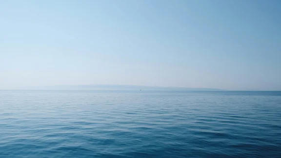 Alternativtext des Bildes