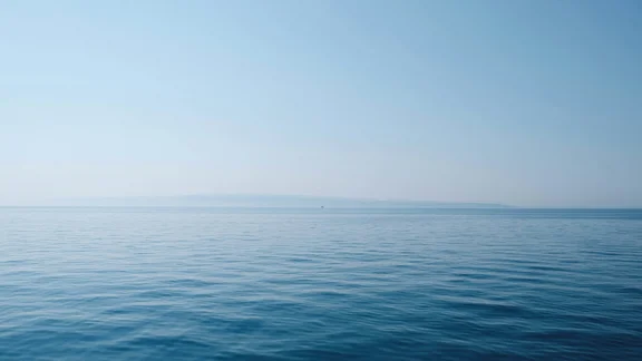 Alternativtext des Bildes