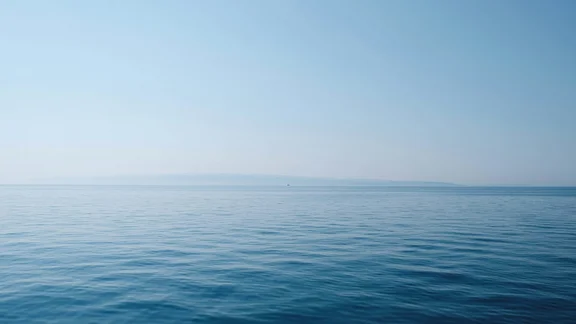 Alternativtext des Bildes