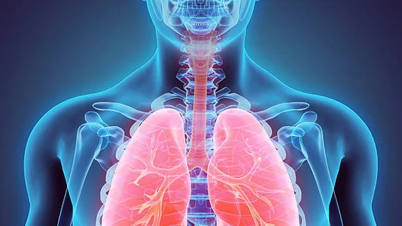 Dummybild 1 Alternativtext