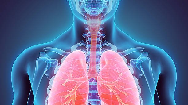 Dummybild 1 Alternativtext