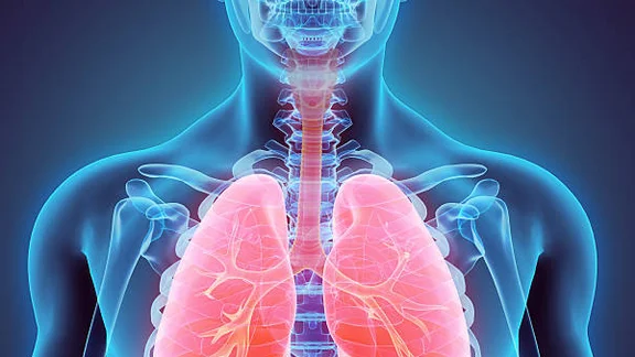 Dummybild 1 Alternativtext